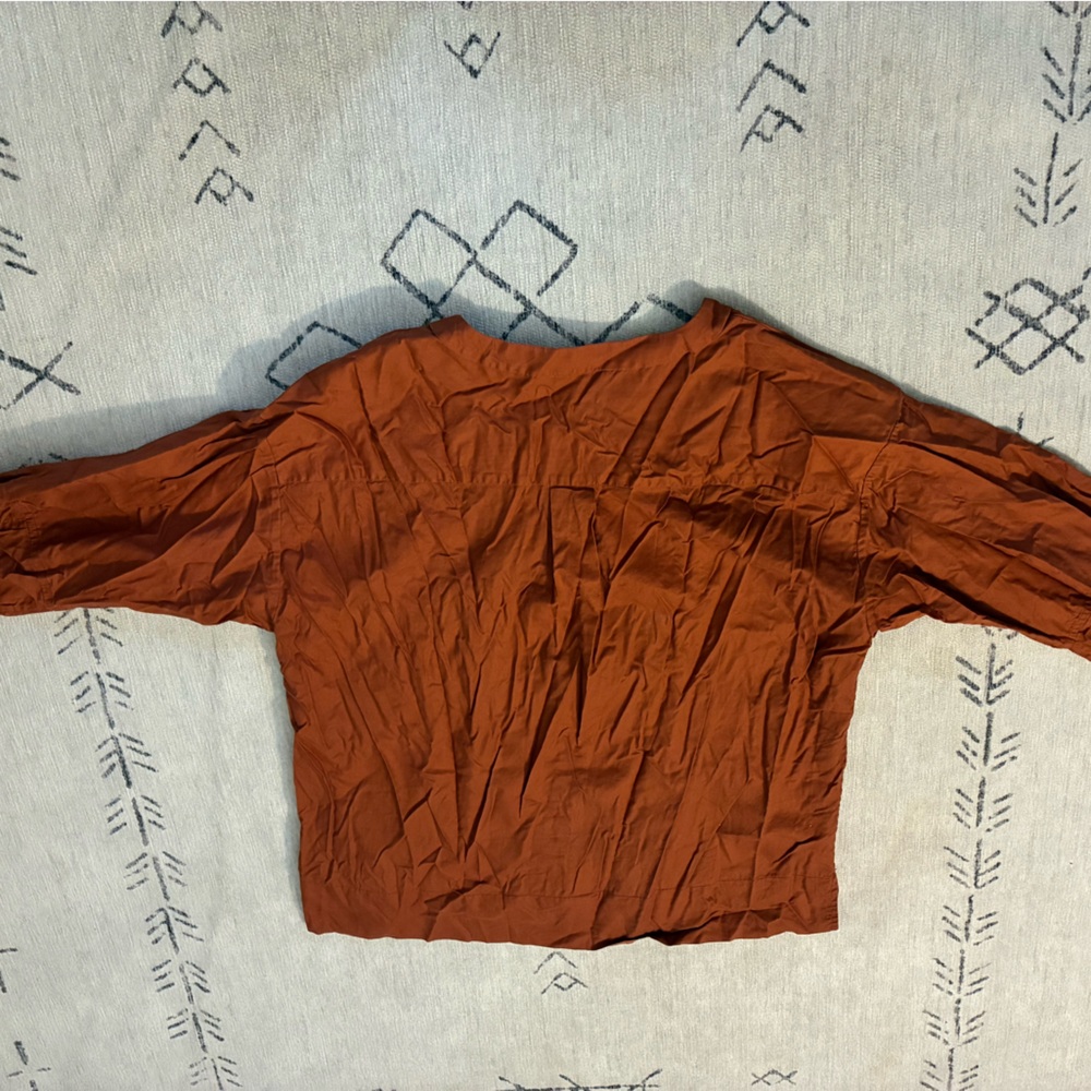 Everlane Rust Button-Up Blouse - Picture 2 of 4